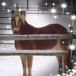 Meet your Posher, Stacey